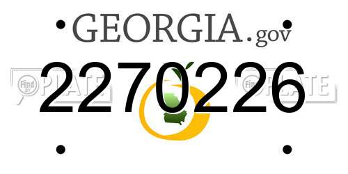 2270226 Georgia License Plate