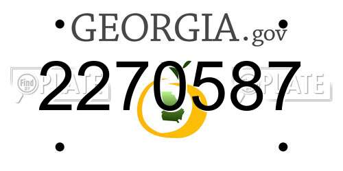 2270587 Georgia License Plate