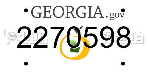 2270598 Georgia License Plate