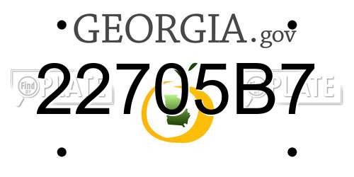 22705B7 Georgia License Plate