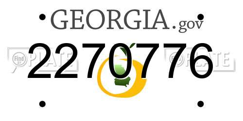 2270776 Georgia License Plate