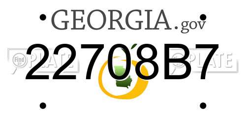 22708B7 Georgia License Plate