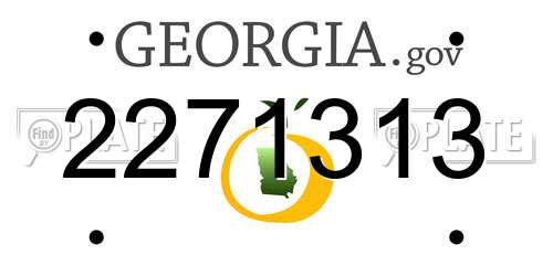 2271313 Georgia License Plate