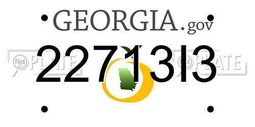 22713I3 Georgia License Plate