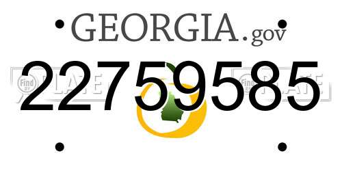 22759585 Georgia License Plate