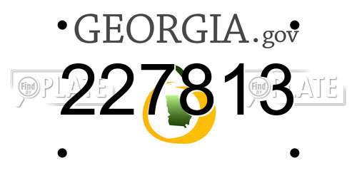 227813 Georgia License Plate
