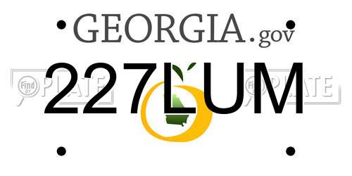 227LUM Georgia License Plate