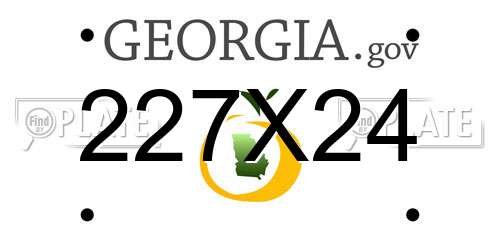 227X24 Georgia License Plate