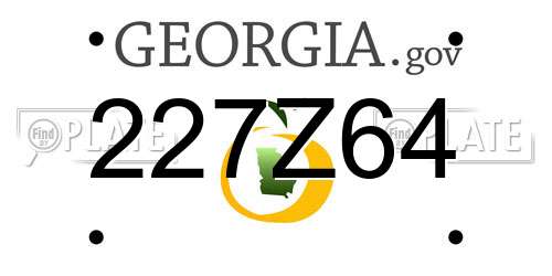 227Z64 Georgia License Plate