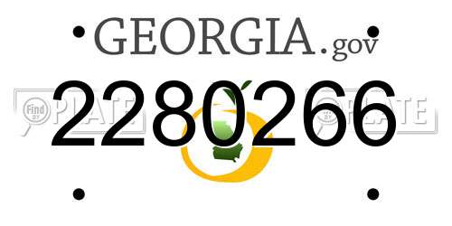 2280266 Georgia License Plate