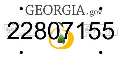 22807155 Georgia License Plate