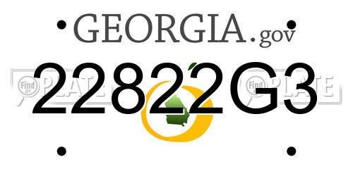 22822G3 Georgia License Plate