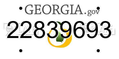 22839693 Georgia License Plate