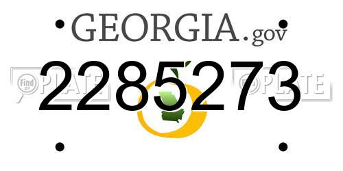 2285273 Georgia License Plate