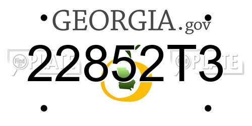 22852T3 Georgia License Plate