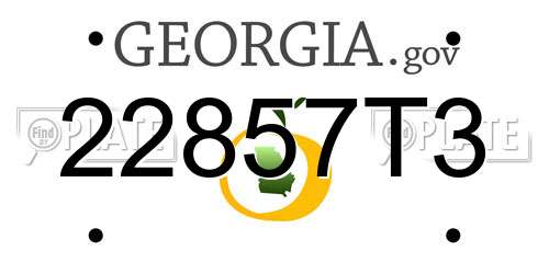 22857T3 Georgia License Plate