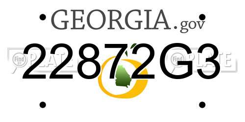 22872G3 Georgia License Plate