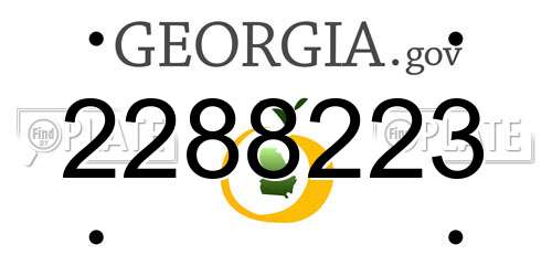 2288223 Georgia License Plate