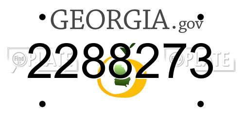 2288273 Georgia License Plate