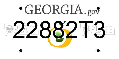 22882T3 Georgia License Plate