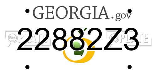 22882Z3 Georgia License Plate