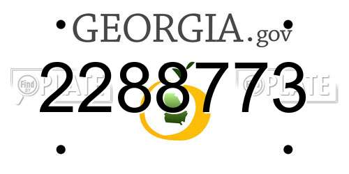 2288773 Georgia License Plate