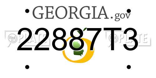 22887T3 Georgia License Plate