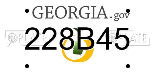 228B45 Georgia License Plate