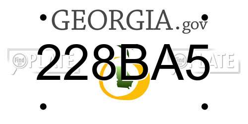 228BA5 Georgia License Plate