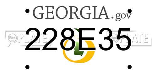 228E35 Georgia License Plate