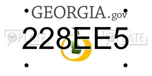 228EE5 Georgia License Plate