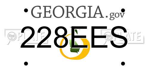 228EES Georgia License Plate
