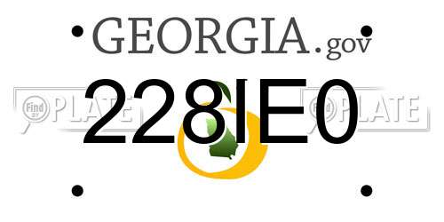 228IE0 Georgia License Plate