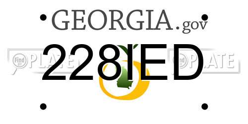 228IED Georgia License Plate