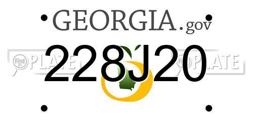228J20 Georgia License Plate