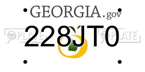 228JT0 Georgia License Plate