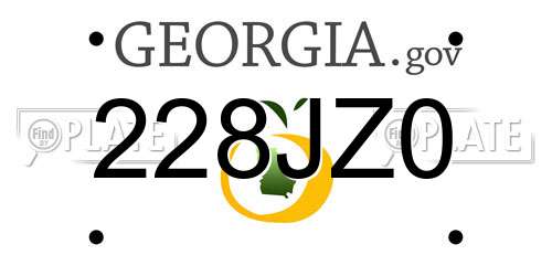 228JZ0 Georgia License Plate