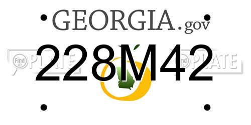 228M42 Georgia License Plate