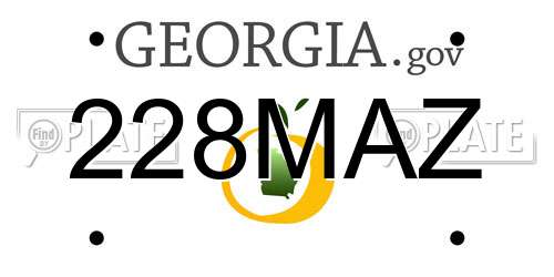 228MAZ Georgia License Plate
