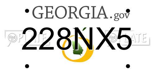 228NX5 Georgia License Plate