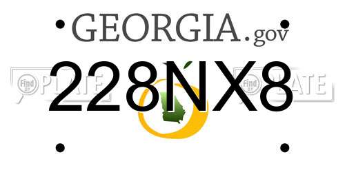 228NX8 Georgia License Plate