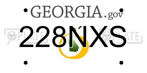 228NXS Georgia License Plate