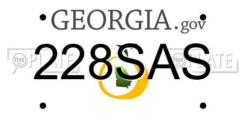 228SAS Georgia License Plate