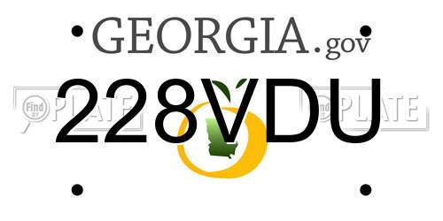 228VDU Georgia License Plate