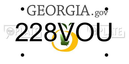 228VOU Georgia License Plate
