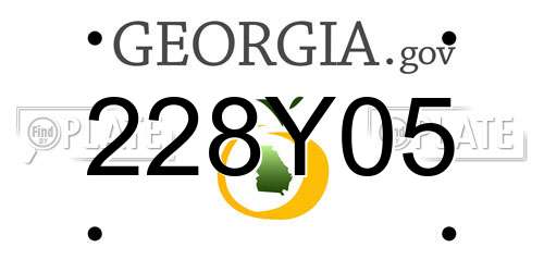 228Y05 Georgia License Plate