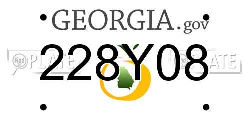 228Y08 Georgia License Plate