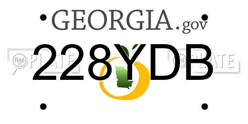 228YDB Georgia License Plate