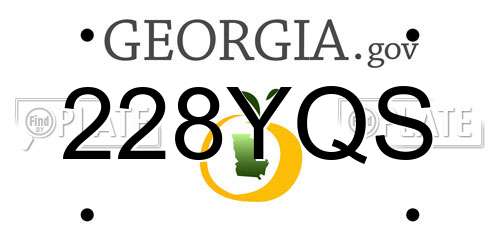 228YQS Georgia License Plate