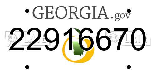 22916670 Georgia License Plate